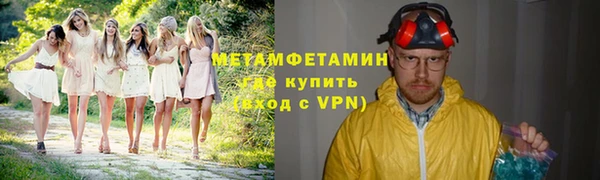 прущие грибы Михайловск