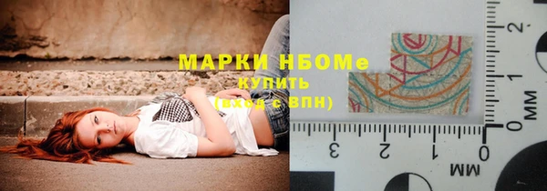 прущие грибы Михайловск
