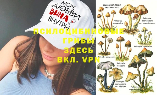 меф VHQ Гусев