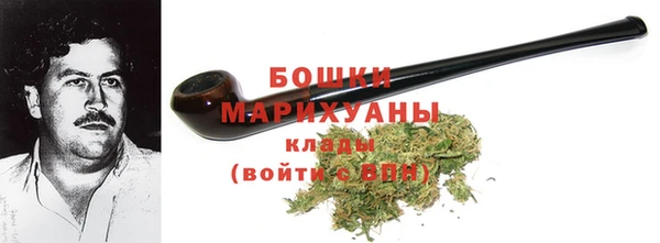 прущие грибы Михайловск