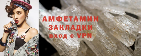 прущие грибы Михайловск