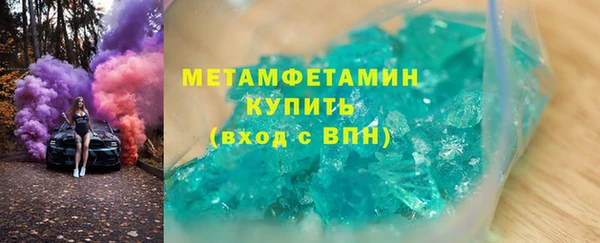 прущие грибы Михайловск