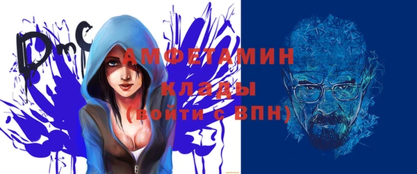 прущие грибы Михайловск