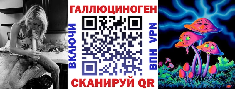Галлюциногенные грибы Psilocybine cubensis Дмитровск